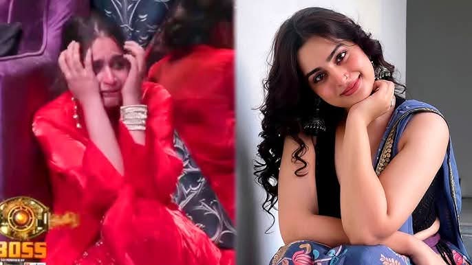 Big Boss 17's Ayesha Khan reveals